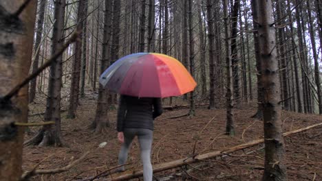 toma en cámara lenta de una mujer caminando en el bosque sosteniendo un paraguas colorido bajo la lluvia