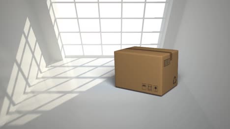 Parcel-with-window