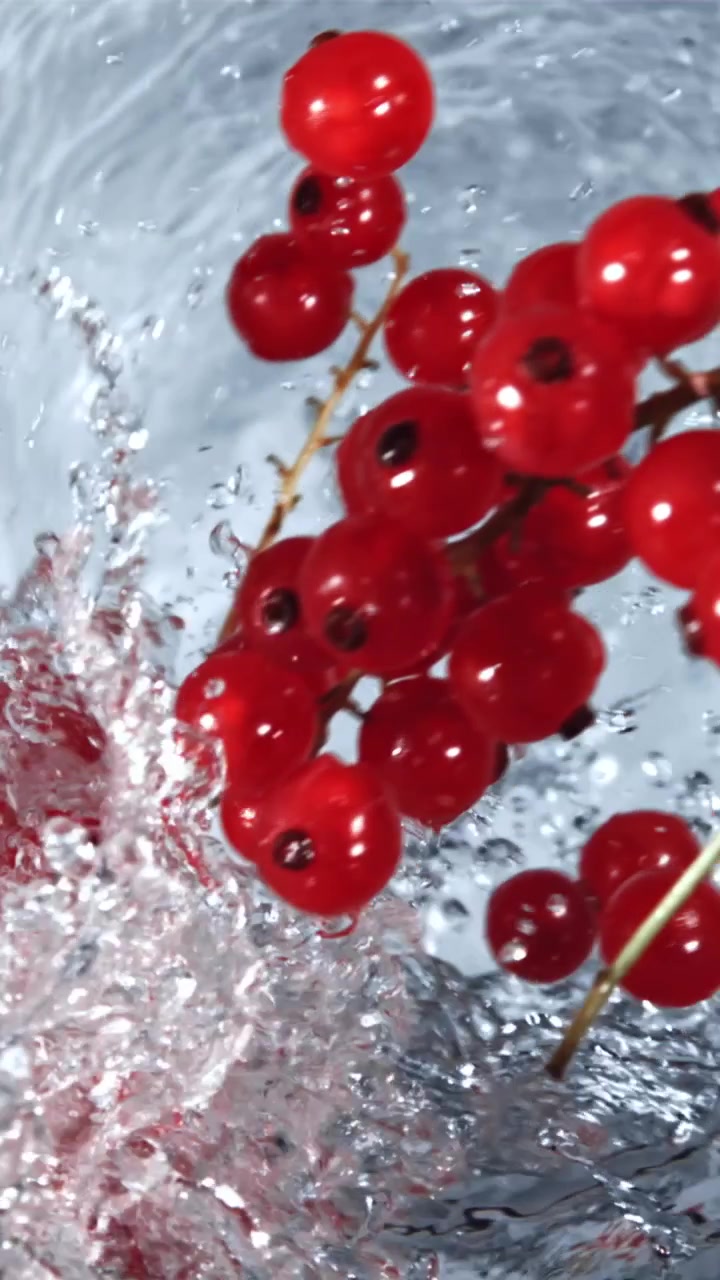 Frische rote Johannisbeeren spritzen in Zeitlupe in klares Wasser