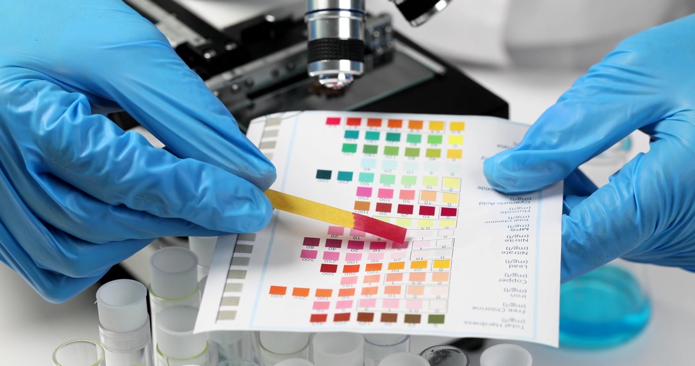 Pessoa segura tira de teste de urina perto de tabela de cores para comparação