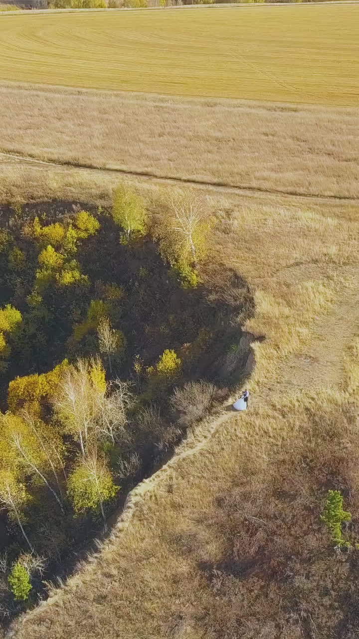 just married couple walks on narrow road on steep hill crest with dry grass at large ripe field on warm autumn day aerial