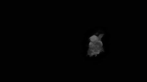 small smoke puff erupts into larger cloud then transitions to fast particle streaks exploding across black screen. dynamic cgi for impact or energy release