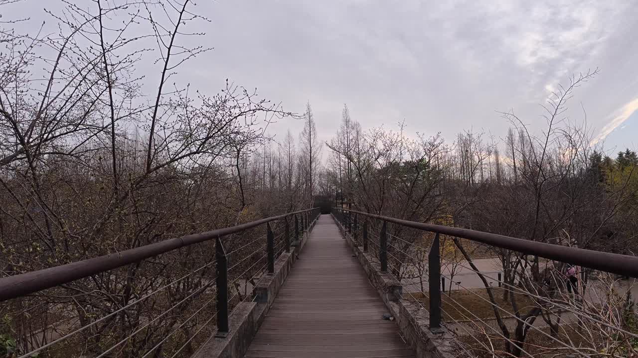 Wooden Bridge At Seonyudo Park With Leafless Trees In Seoul, South Korea. - POV shot