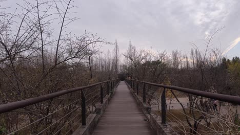 wooden bridge at seonyudo park with leafless trees in seoul, south korea. - pov shot