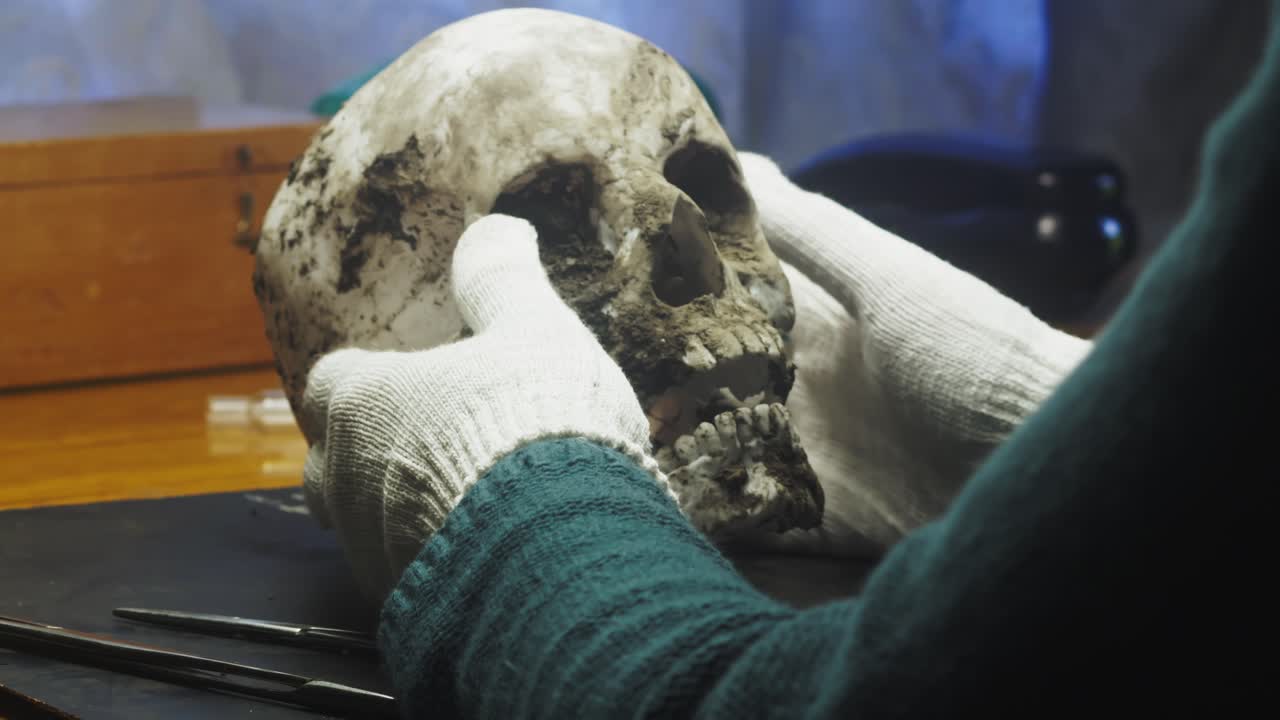 Analyst puts on gloves before examination and cleaning of human skull