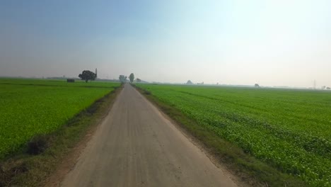 Getreidefelder-Mit-Weitem-Blick-In-Ein-Dorf