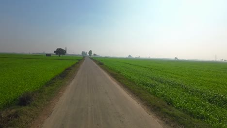 crop fields wide view in a village