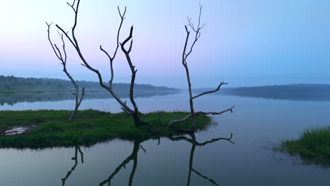 Morgens-Ruhiger-See,-Vor-Sonnenaufgang-Spiegelt-Sich-Der-See-In-Den-Atmosphärischen-Effekten-Des-Himmels-Und-Ist-Von-Nebligen-Nebeln-Umgeben