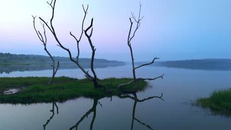 morning calm lake , before sun lake reflecting the atmospheric effects of the sky and surrounded by misty-fogs
