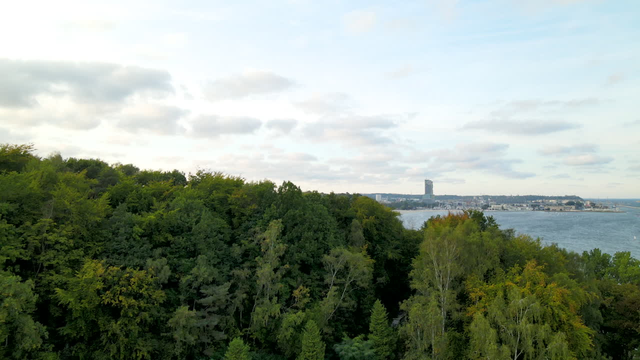 el hermoso paisaje de árboles gloriosos con agua turquesa y cielo azul brillante en polanka redlowska, polonia - toma aérea