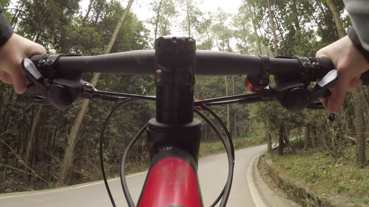 Bicycle Riding On Road Surrounded By Forest.  First Person Perspective