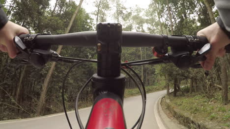 bicycle riding on road surrounded by forest.  first person perspective