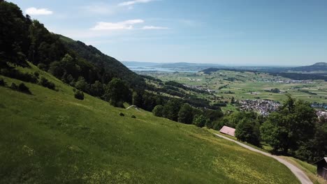 drone rises up from a meadow with a lot of flowers to show a valley in the swiss alps next to high mountains and near the lake of zurich on a warm sunny summer day