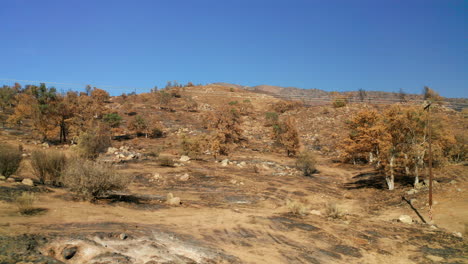 Landscape-ravaged-by-wildfires-in-southern-California