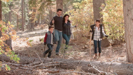 happy hispanic family walking in a forest, panning shot