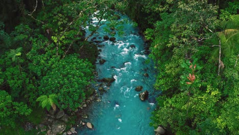 seamless video loop / cinemagraph of the rio celeste blue river national park close to arenal waterfall at la fortuna in the costa rica jungle with lush green tropical plants and saturated blue water flowing along a natural riverbed. aerial drone.