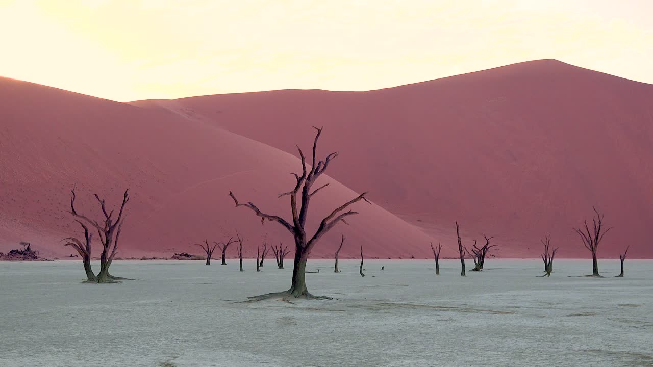 siluetas de árboles muertos al amanecer en deadvlei y sossusvlei en namib parque nacional naukluft desierto de namib namibia 3