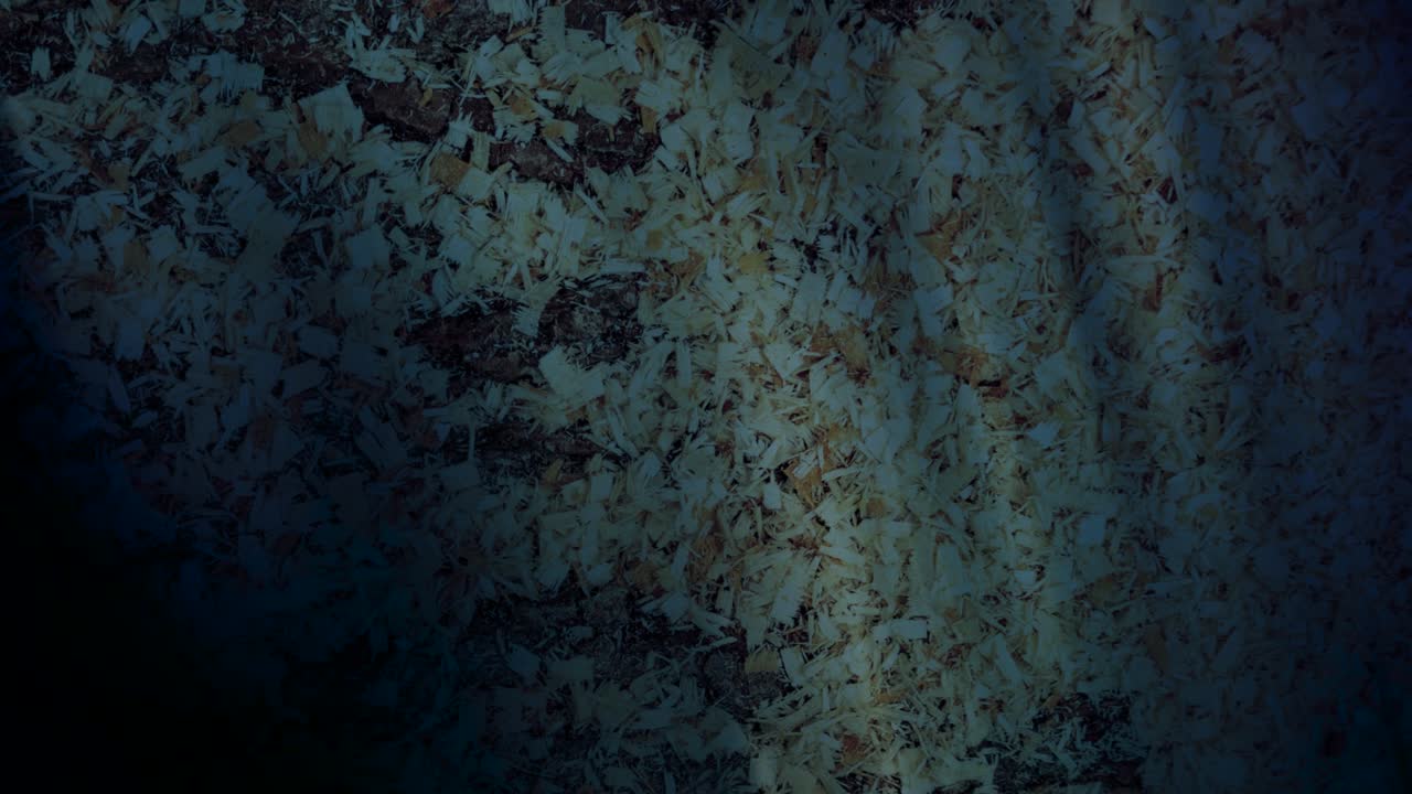 protectores de pantalla animados de fondo paredes de textura para el escritorio,