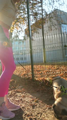 woman walking pug in park