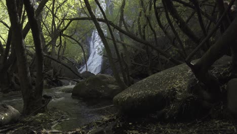 Kleiner-Bach-Mitten-In-Einem-Wald-Mit-Wasserfall-Als-Hintergrund