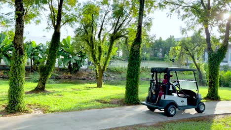 golf cart moving through lush green golf course