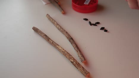 natural liquorice root and dark mints on white table, healthy snack or herbal remedy