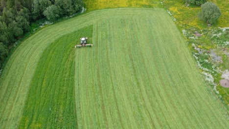 aerial view of agricultural tractor cutting green grass in the field