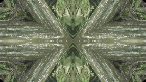 Grünes-Kaleidoskop-Mit-Waldbildern-Aus-Wissahickon-Creek,-Philadelphia,-#41