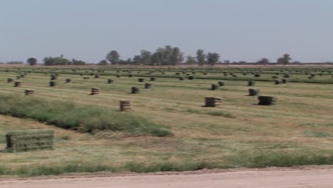 Hay-bales-on-field-in-California,-USA-1