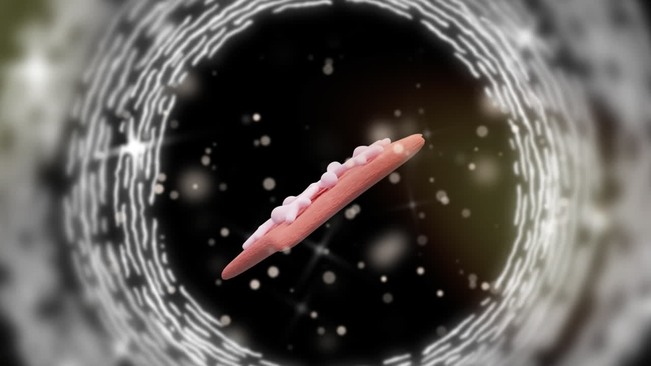 색 원과 박이는 불빛 위에 크리스마스 스타 진저브레드 쿠키의 애니메이션.