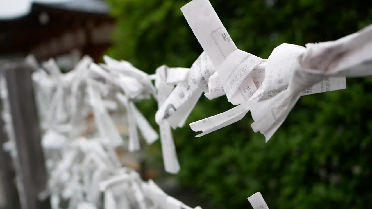 세부 백서 레일