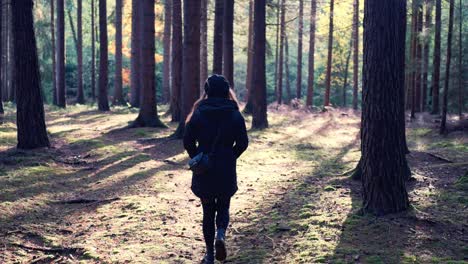 lost and lonely girl in a dense forest lit by the sun