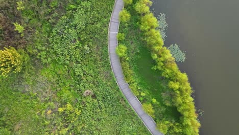 pleasant lush green walkway of liberty park clarksville tennessee aerial