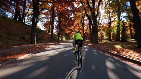 dynamic video captures a cyclist from a rear angle, racing through a vibrant autumn forest