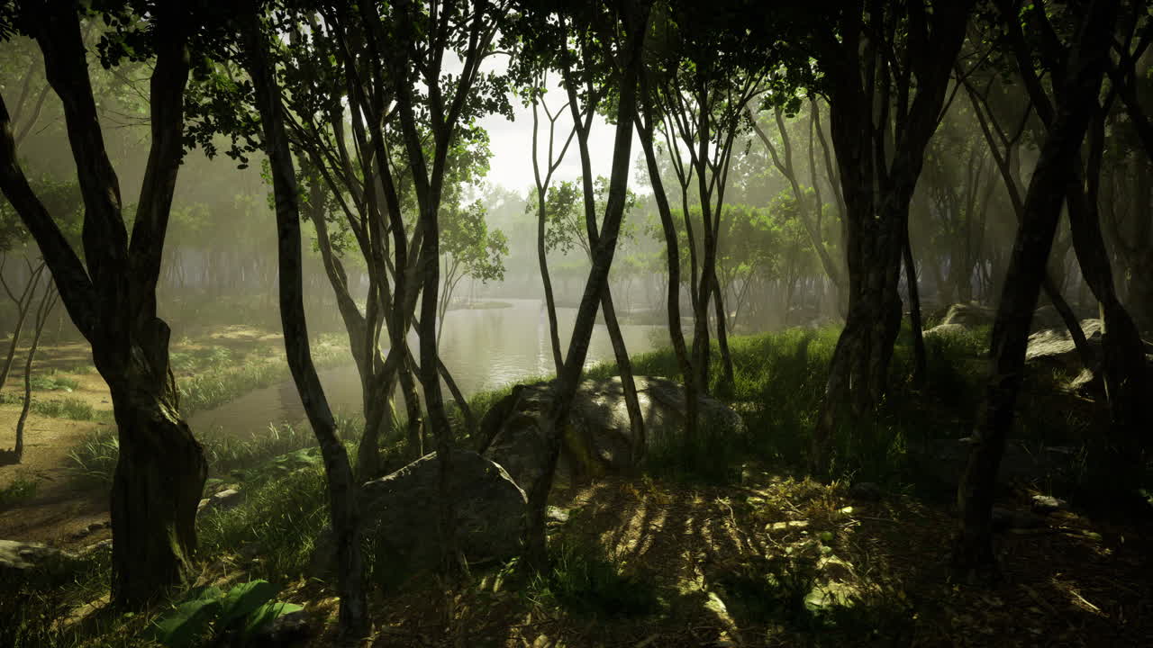 Sunlight filtering through trees at a serene lakeside location