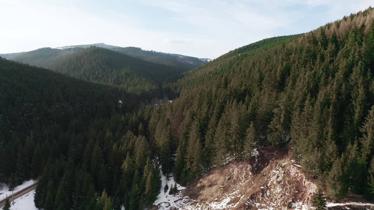 vuelo aéreo sobre la empinada ladera cubierta de bosque siempre verde y nieve ligera