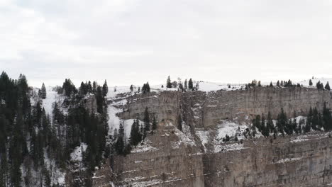 aerial of snow and tree covered mountain ridge