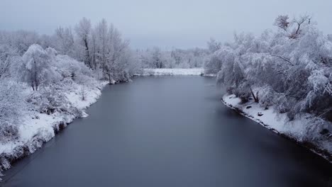 drone shot of pond covered in ice surrounded by snow covered trees