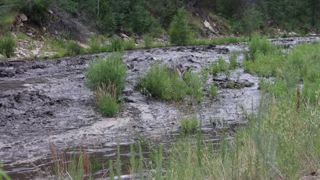 Después-De-Un-Deslizamiento-De-Lodo-De-Una-Cicatriz-De-Quemadura-Cerca-De-Glen-Haven,-Colorado,-El-Río-Big-Thompson-Se-Vuelve-Negro-Con-Lodo-Y-Ceniza