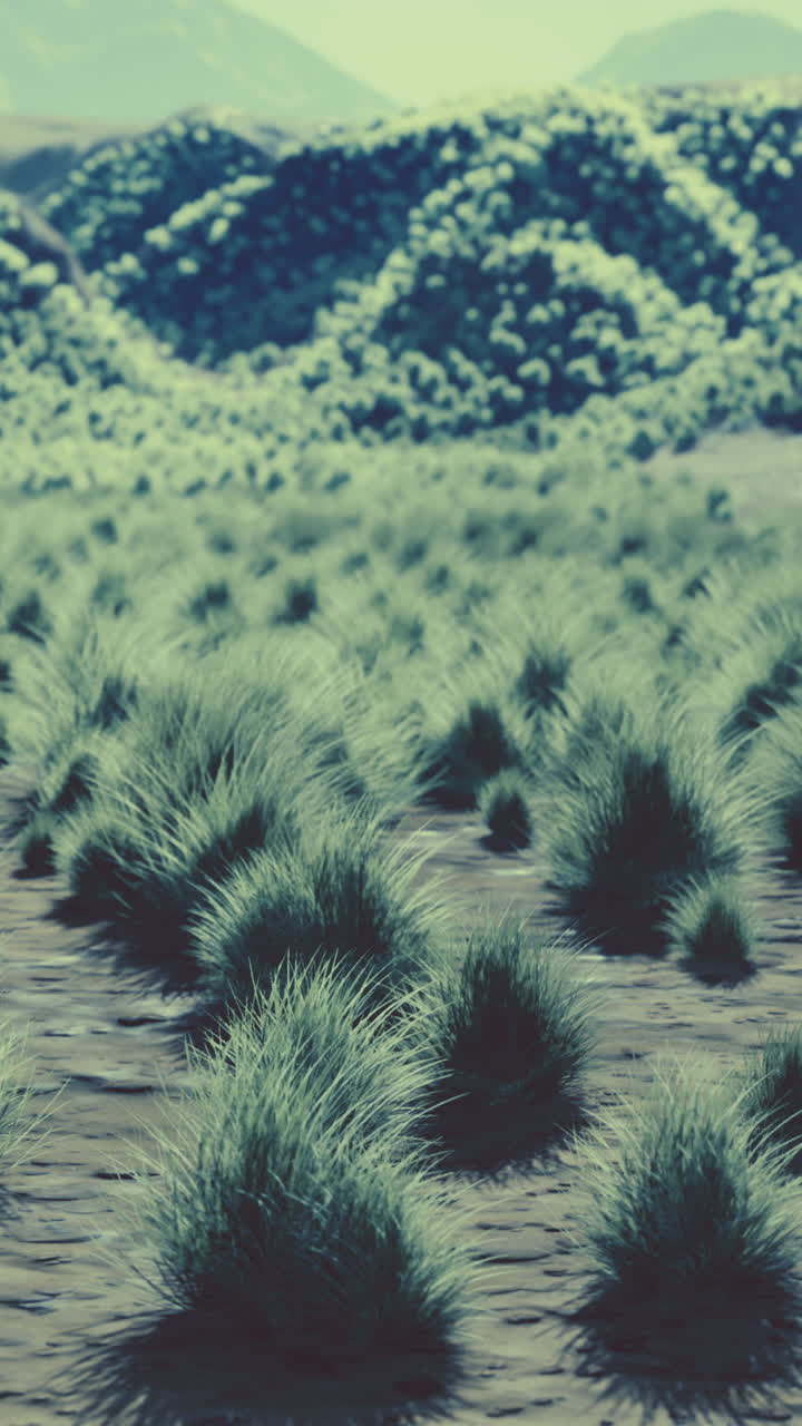 un campo de hierba con colinas al fondo