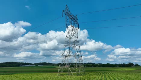 electricity pylon towering over a green cornfield with a blue sky