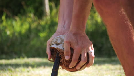 quitando la cáscara de coco a mano usando una espiga en el suelo