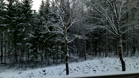 Aufsteigende-Luftaufnahme-Einer-Wunderschönen-Winterlandschaft-Mit-Schneebedeckten-Ästen-Und-Baumkronen-Im-Wald