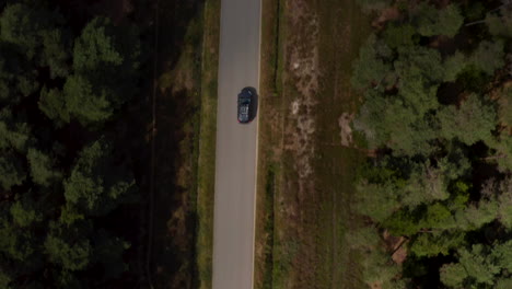 Aerial-birds-eye-overhead-top-down-view-of-car-on-road.-Tracking-of-vehicle-driving-on-tarmac-in-forest.-Denmark