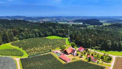 flight over the farm with several agricultural fields. stunning nature landscape on sunny day