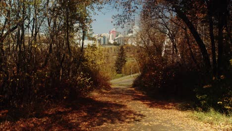 A-park-pathway-on-a-beautiful-fall-day-with-dry-yellow,-red-and-orange-leaves-along-the-path-as-cars-drive-on-the-road-behind-it,-the-Edmonton-city-skyline-hovering-in-the-background