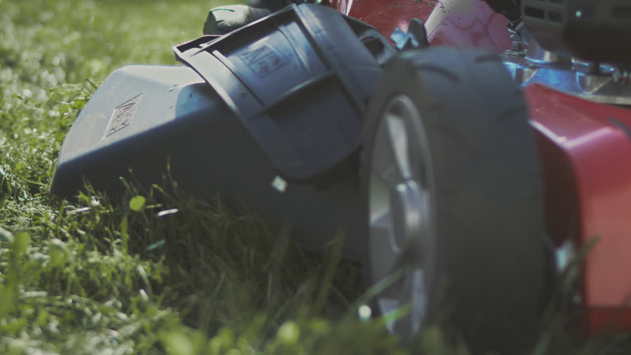 마당 에 있는 잔디 기 기계