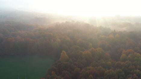 Drone-aerial-view-of-park-in-early-autumn-morning