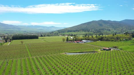 Aerial-view-of-valley-filled-with-fruit-orchards,-Southern-Oregon