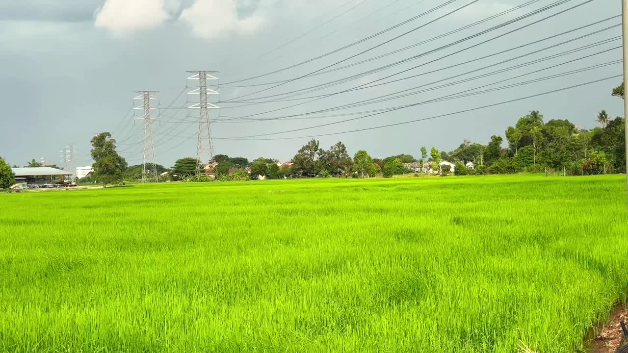 시골 지역의 푸른 의 아름다운 풍경은 바람이 불면서 전기 그리드 근처에 있습니다.